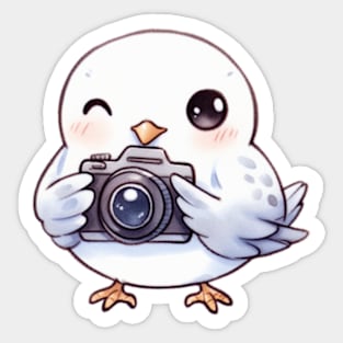 Dove Photographer Sticker